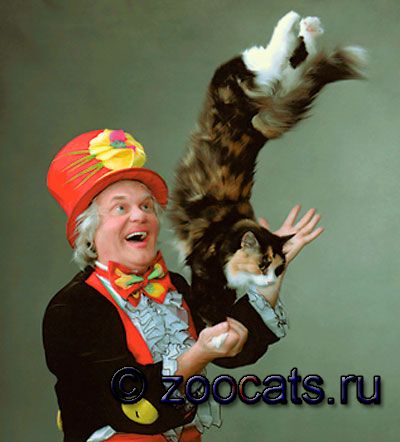 Кукла из капрона ангел мастер класс 83