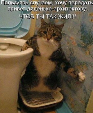 Туалет для кошек. Спасибо тебе хозяин!
