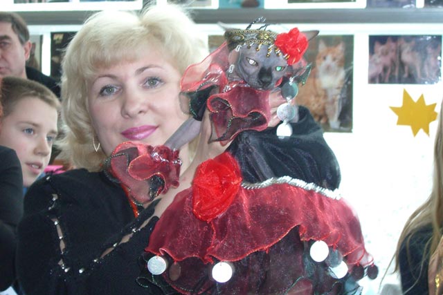 Цыганачка с костюмированного бала на выставке, питомник Марисен